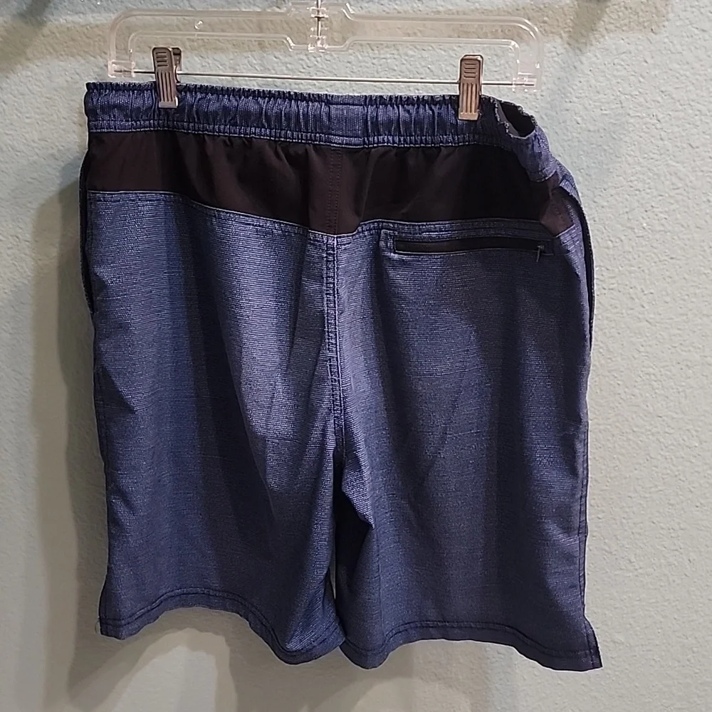 Men's Speedo Swim Trunks Blue Medium